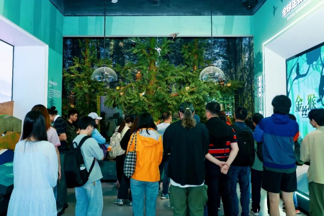 科技守护自然 | AI赋能 绘就大美湖北生态画卷（图5）