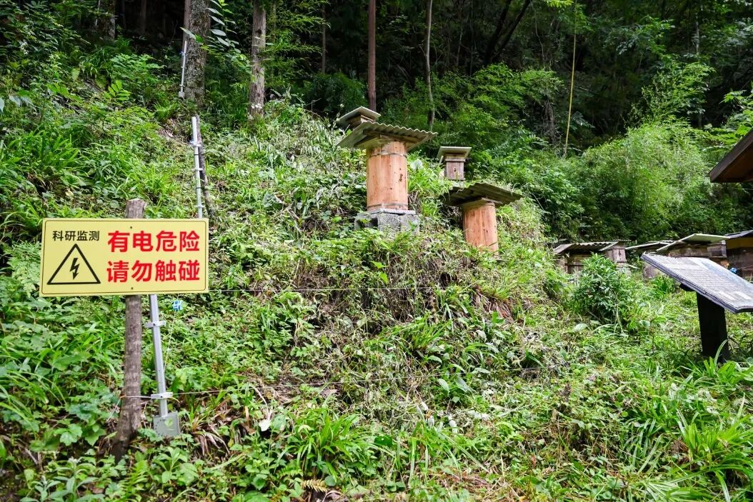 科技守护自然 | AI赋能 绘就大美湖北生态画卷（图8）