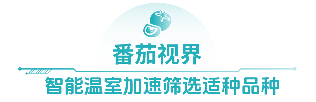 “智”取未来 先正达集团又推出哪些AI新技术？（图5）