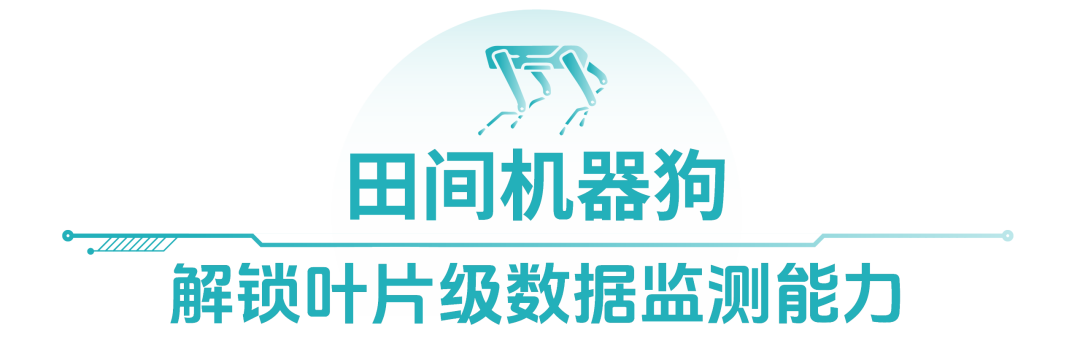 “智”取未来 先正达集团又推出哪些AI新技术？（图4）